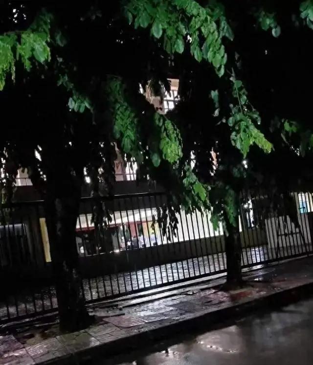 湖南岳阳一位学校食堂员工老李，下班后去自家果园摘柚子，不幸从树上摔下，经抢救无效