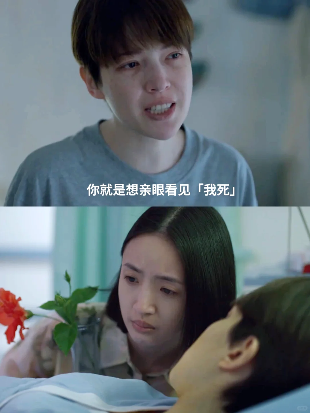 结局烂尾 瑞贝卡的遗言 挽救庆芬的婚姻😧