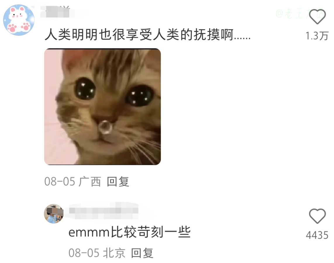 人类饱含爱意的摸摸哪小只能顶住呀！动物奇遇记