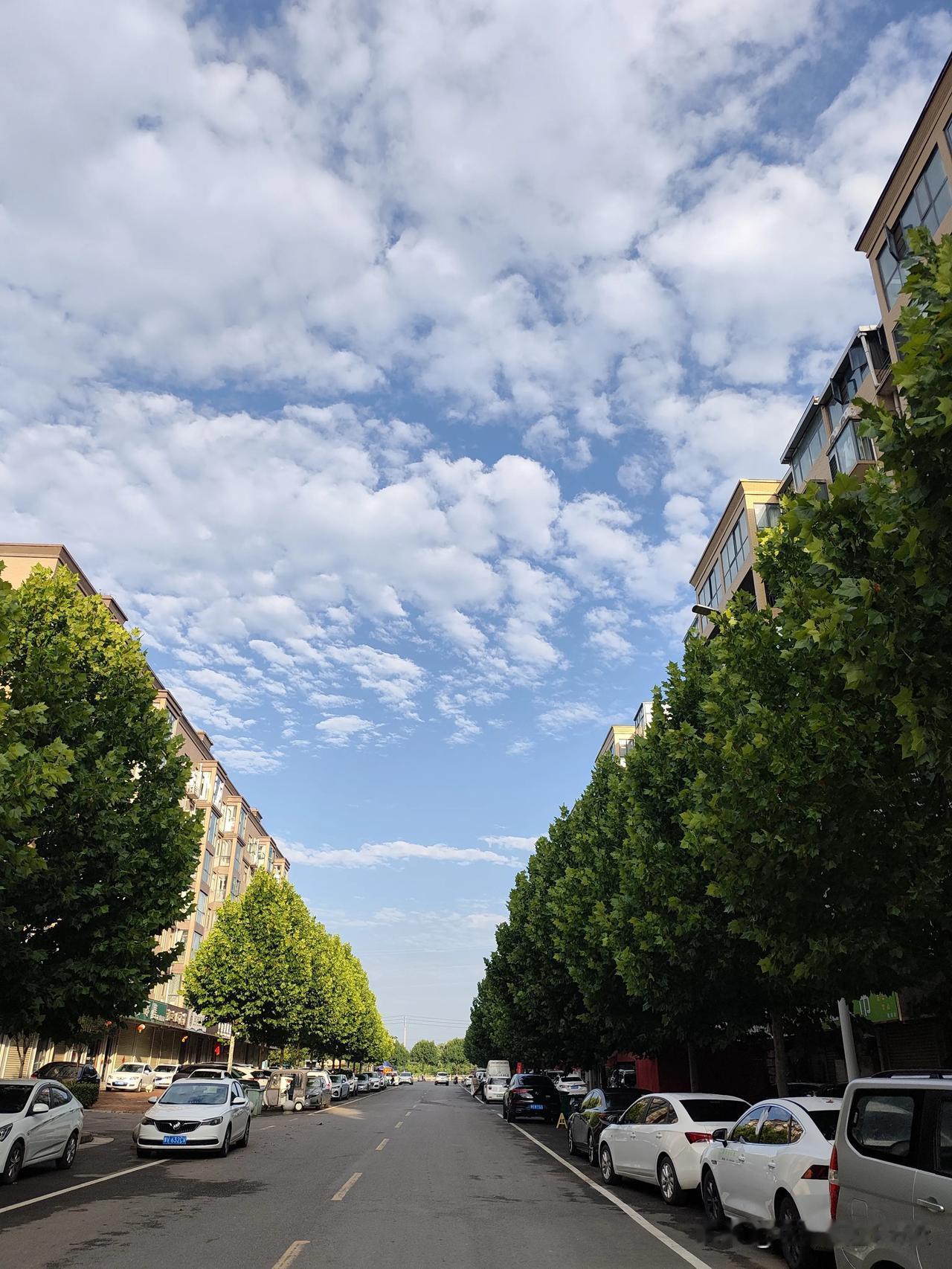 清晨下楼买早餐，抬头撞见这片治愈的天空，忍不住停下脚步拍下分享给大家。
 
平日