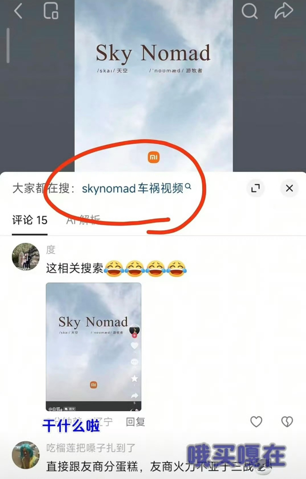 要不说车圈三战要打响了呢，车还没上市，车祸就给安排上了。雷军回应SkyNomad