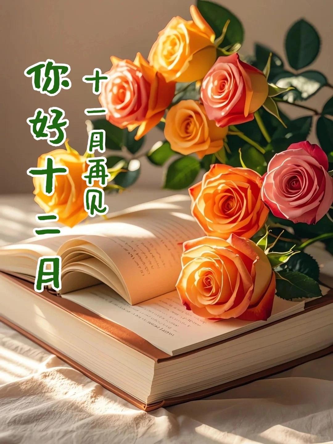 今天是2025年12月1日，周一，农历十月十二，冬天的第一缕阳光洒进窗台，空气里