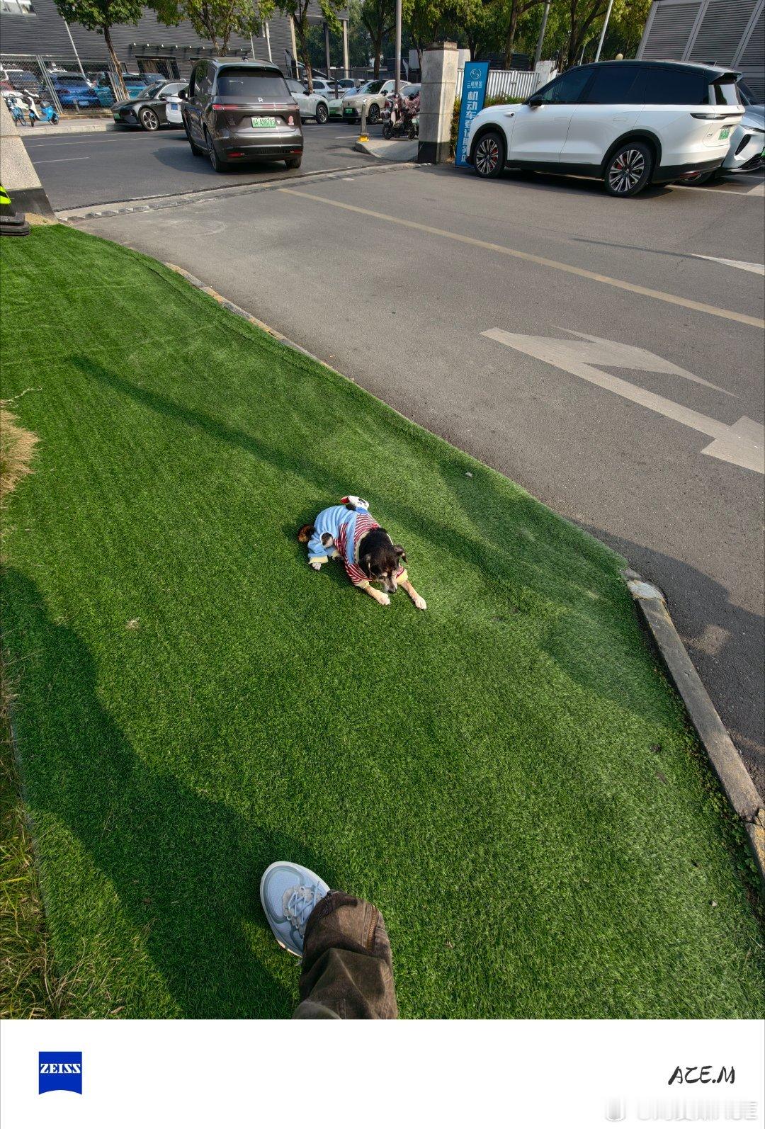 你这样我真的很难搞哦每次路过这个蔚来你就停下了随手拍 成都