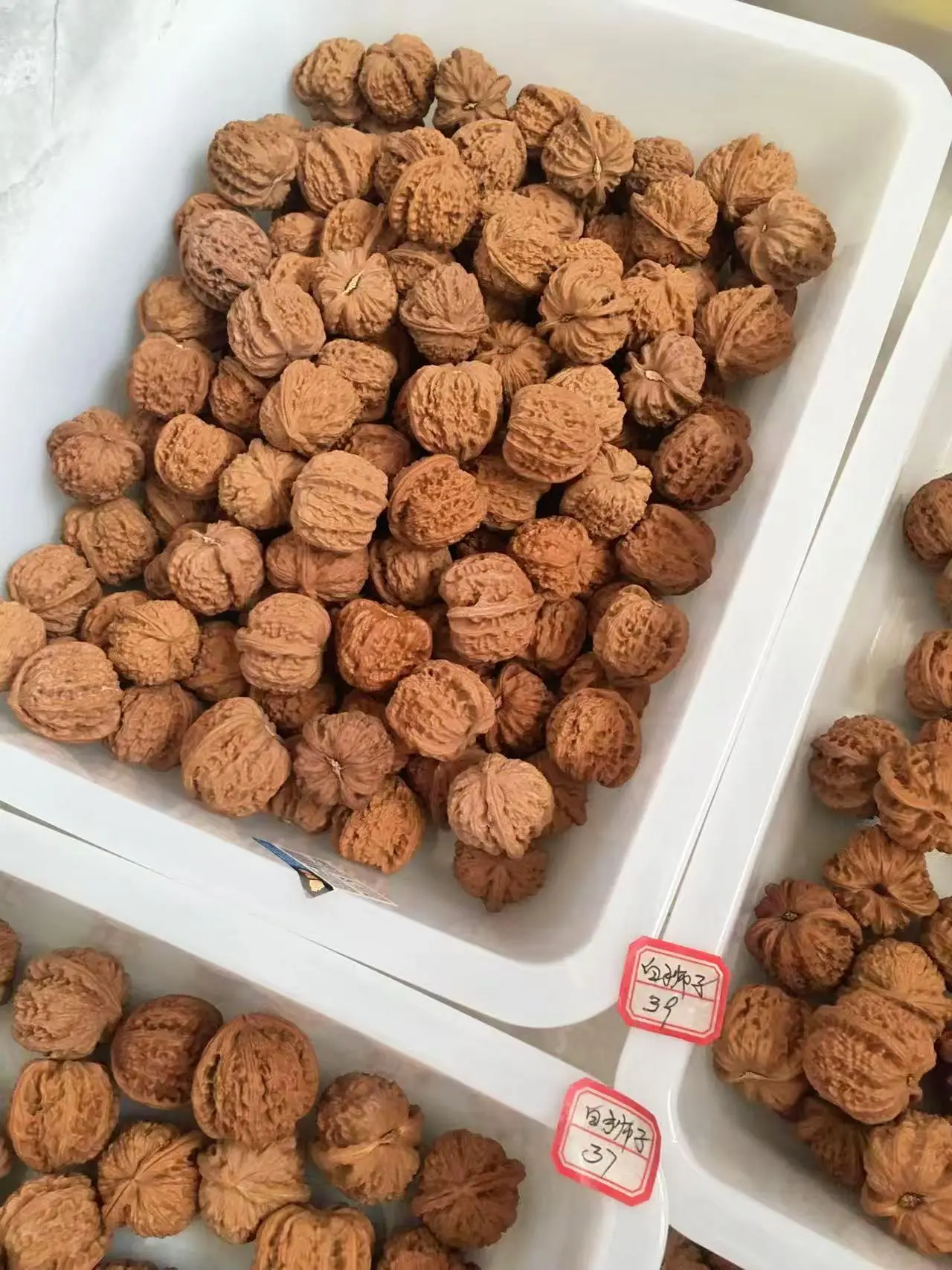 白狮子散籽1.5一粒不包🈶