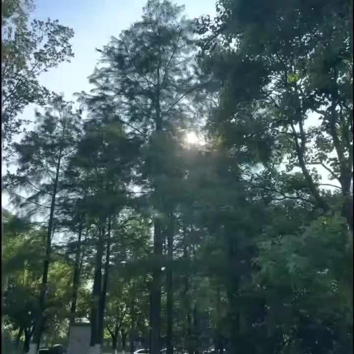 各位腊八快乐！我们来看孙老了！太不容易了终于有假期了呜呜呜！时肆语c团 蜡八节 