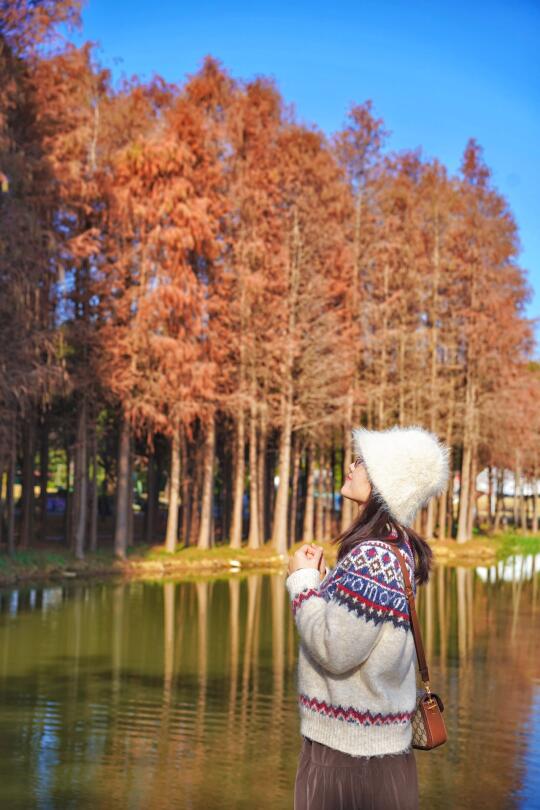 广州周边1h直达北欧童话森林❗️两天一夜攻略