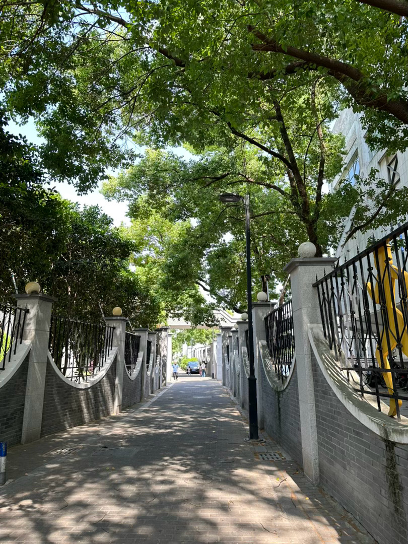 生活手记我的浪漫瞬间触摸春天在苏州大公园，接住了一整个初夏的温柔！原来不用去远方