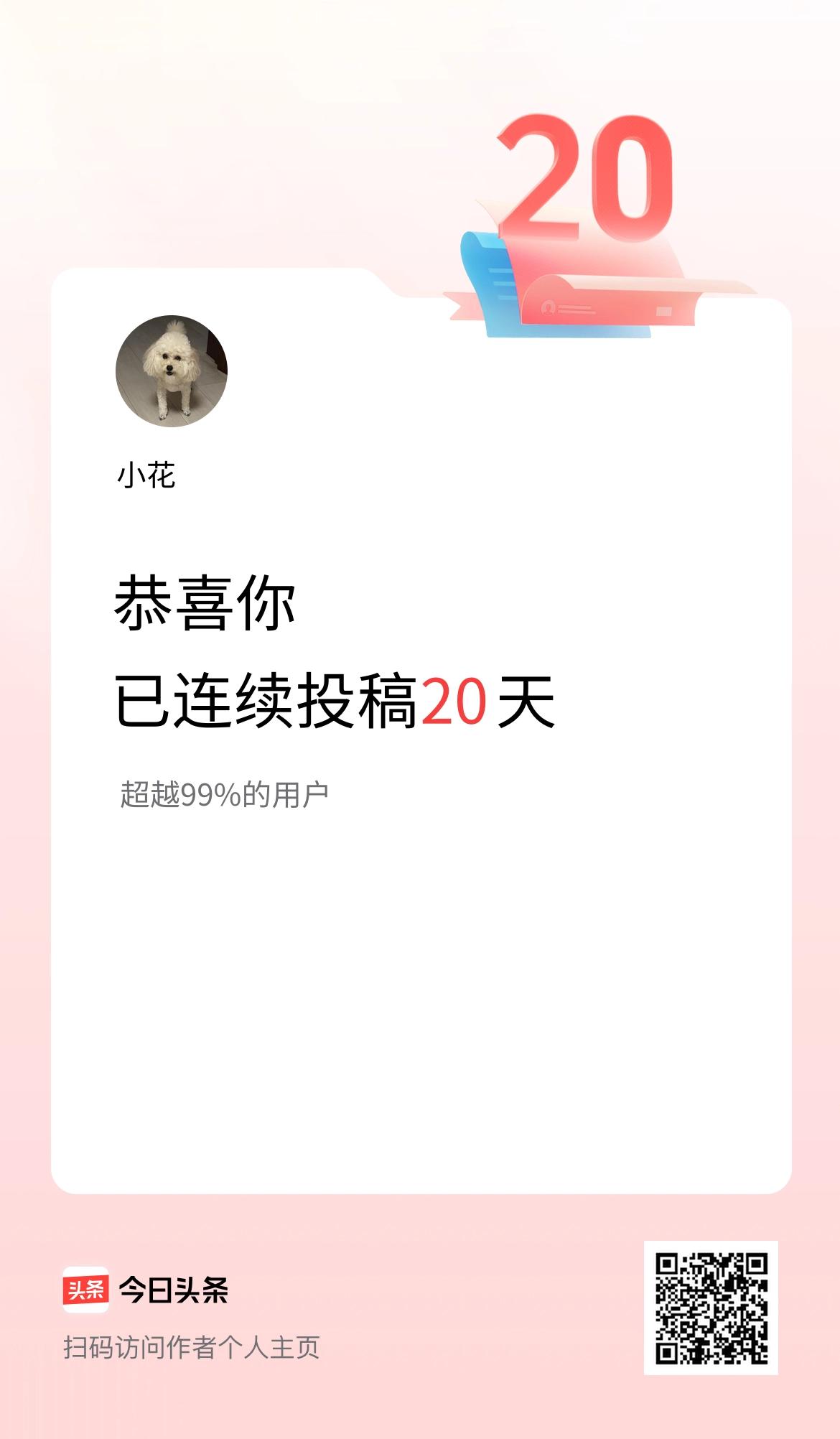 我在头条连续投稿20天