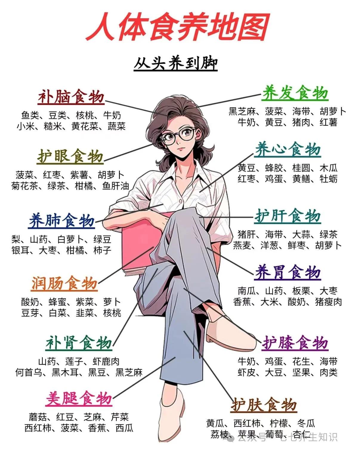 人体食养地图🔥从头养到脚⋯
全身营养补给站！不同部位食物营养全攻略