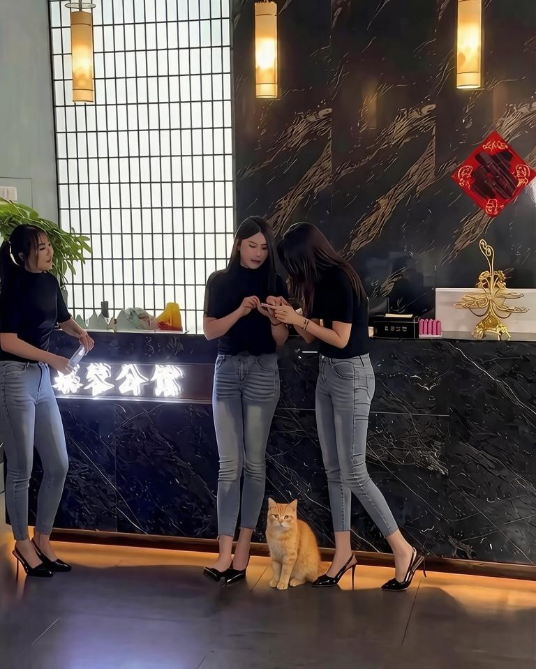 想不通这种裤子是怎么流行起来的…不累吗？