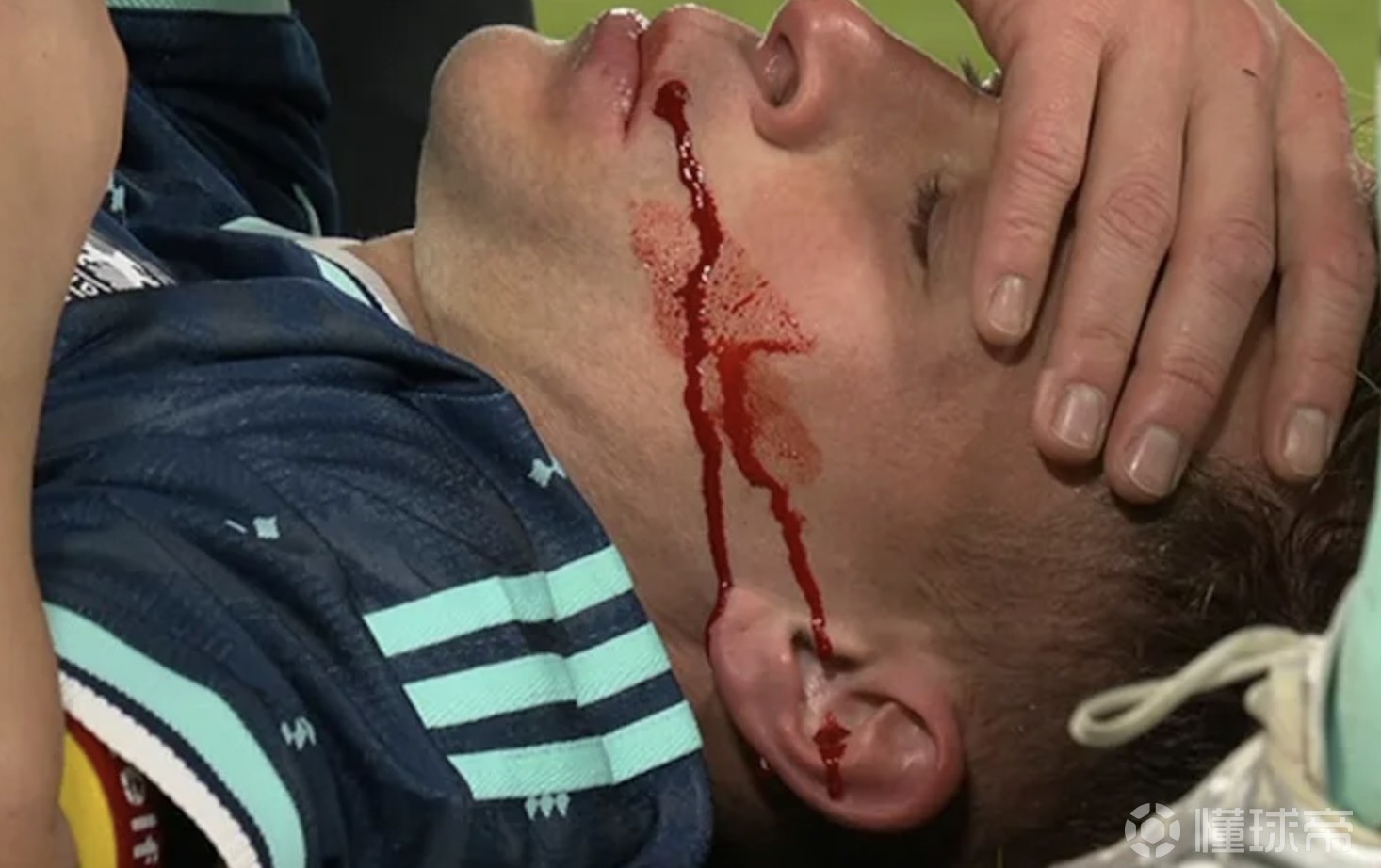 你知道一大早起来看见这个有多吓人吗