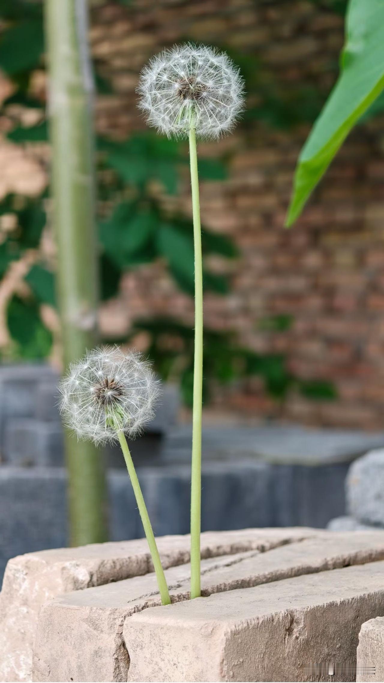 终局思维：当条件有限时，怎样作出不那么坏的决策！