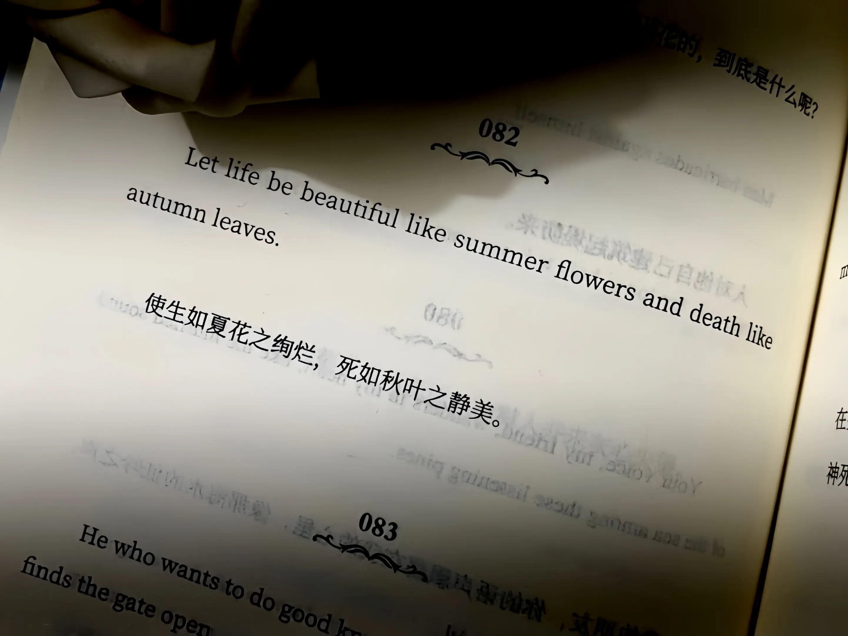 生如夏花之绚烂 死如秋叶之静美