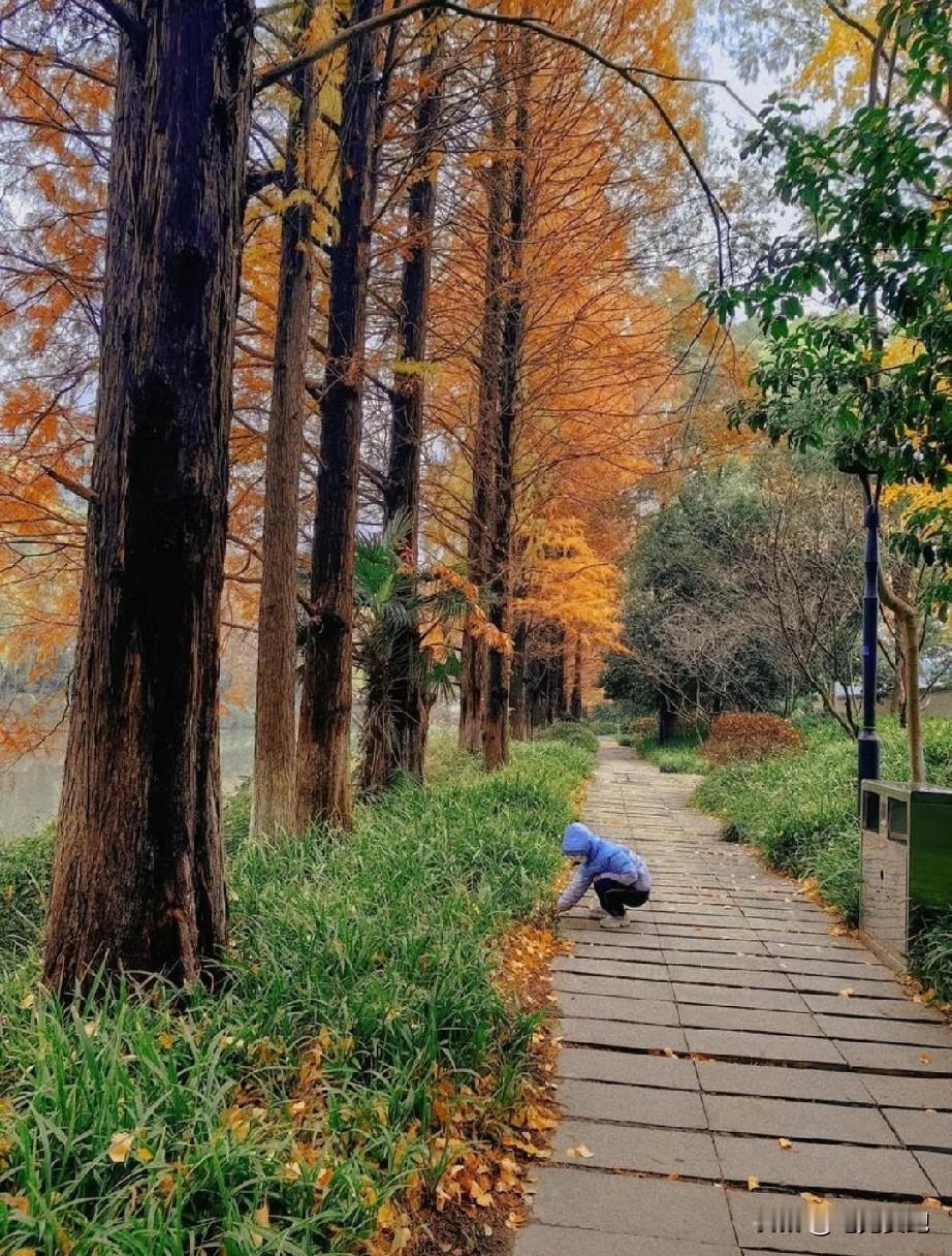 语文课代表没得90分，你能得多少分？（每题2分）

1、蓦（mò）然回首
2、牝