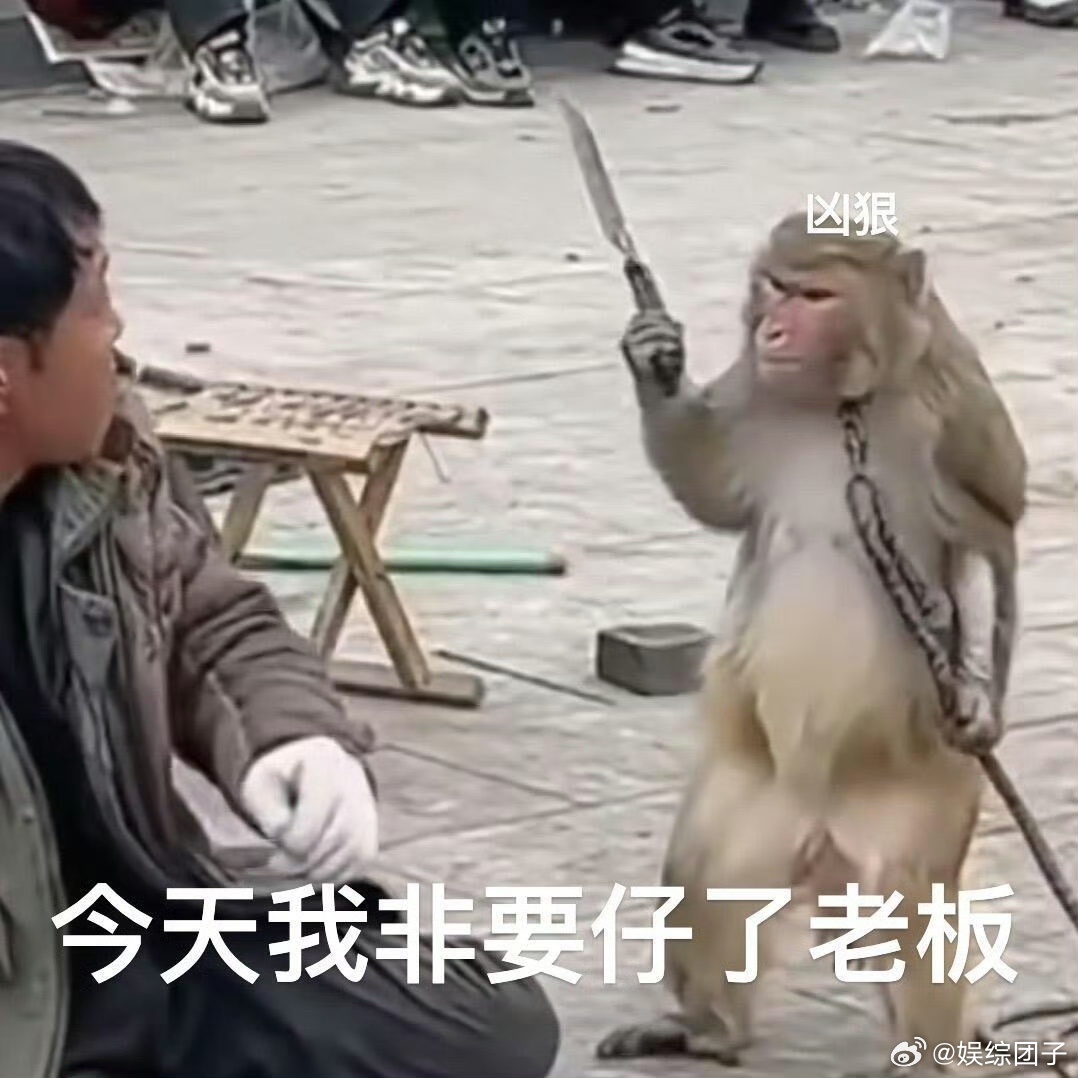最尊重猴的剧组出现了 重温悟空大闹天宫的情怀，再看吗喽大闹众合，跨越漫长时光的呼