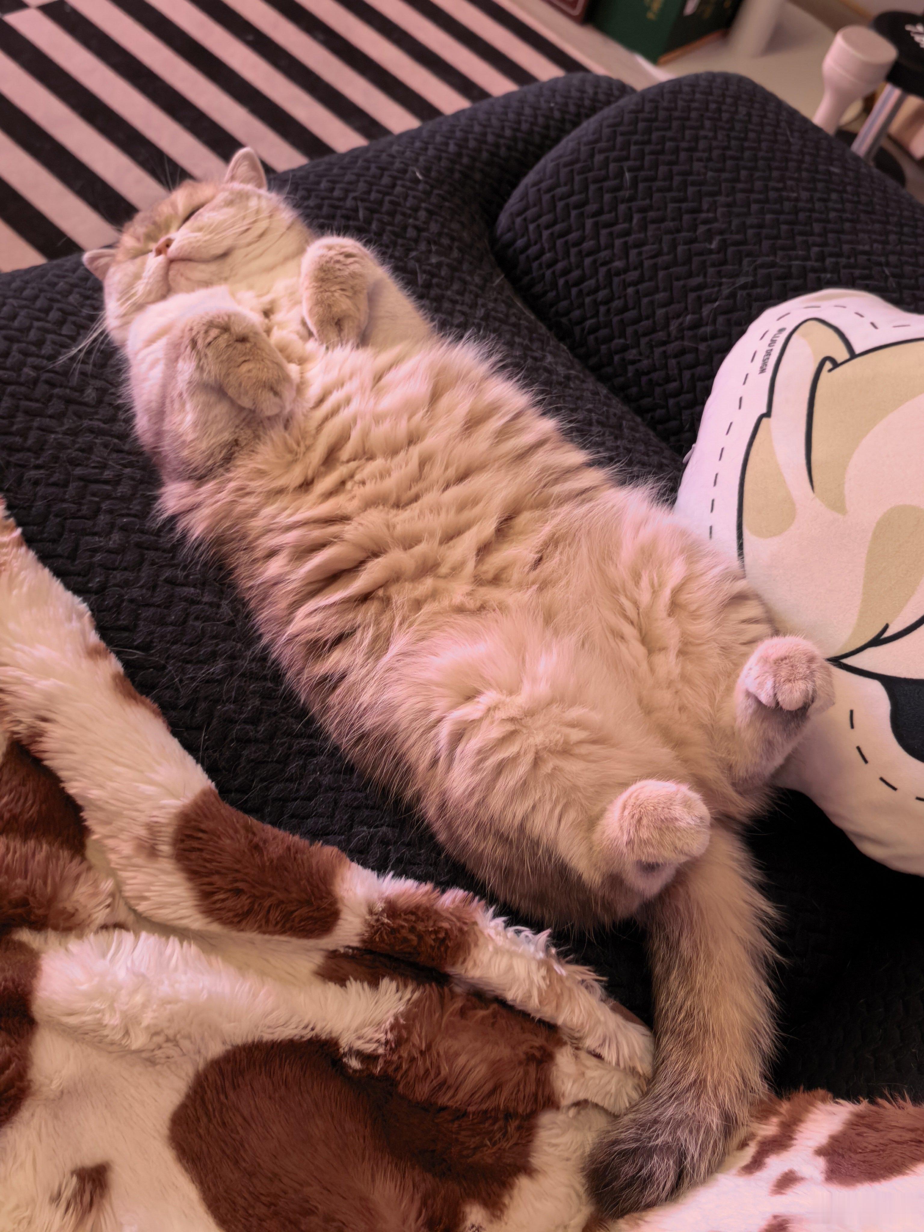 韩安冉新男友出轨 差不多得了我愿意浪费一个新年愿望，求这名字再也别出现在热搜上.