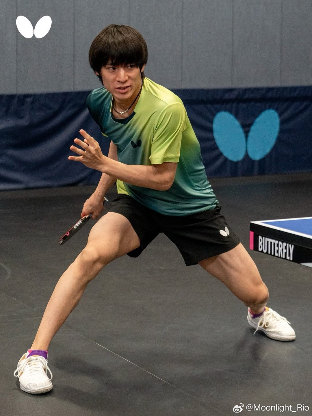 户上隼辅训练时上身蝴蝶新款T恤 