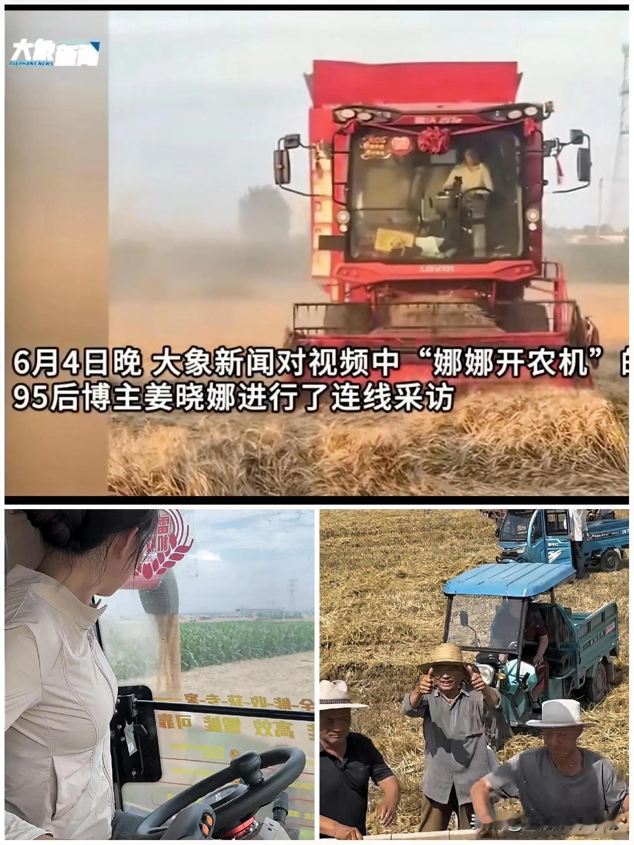 “再也不去河南了”，娜娜这句话让很多人集体破防。

她在河南割麦子，麦子还没割完