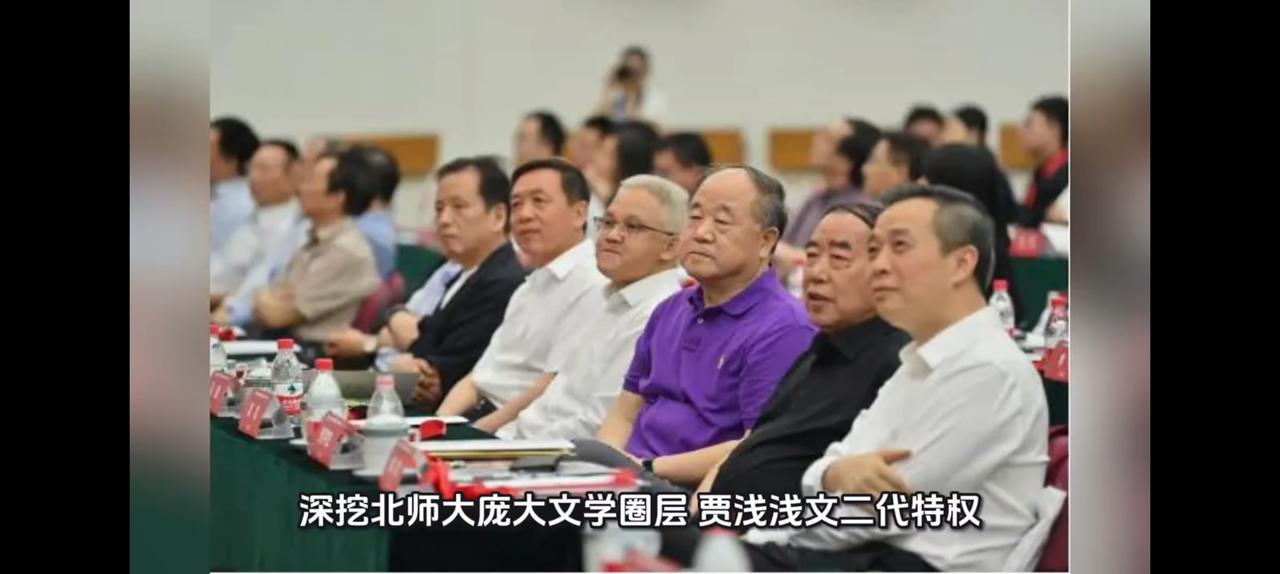 文人是贵族，是少数人的工具。与知识无关，与工人阶级更无关。