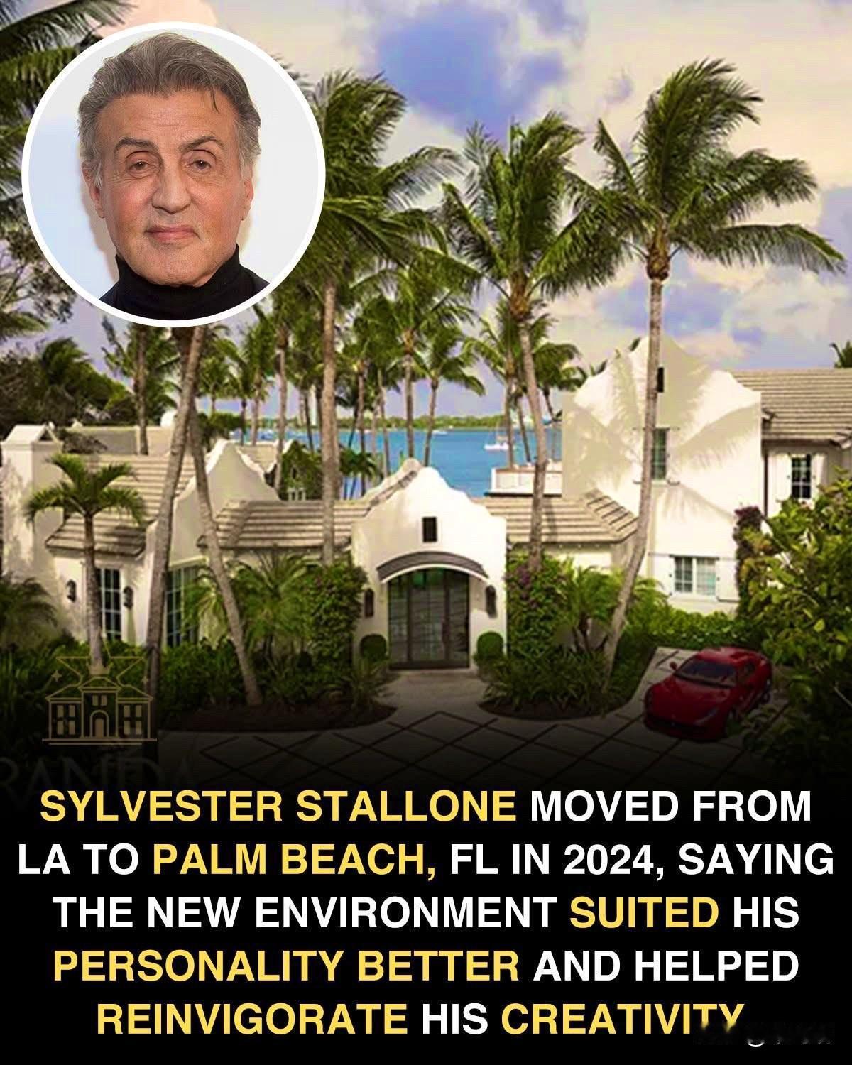 美国著名演员、编剧、导演及制片人，也是好莱坞历史上最具代表性的动作巨星之一西尔维