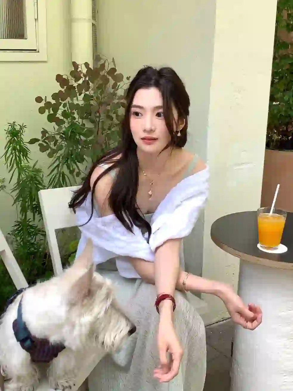 小狗说要永远开心热烈🩵