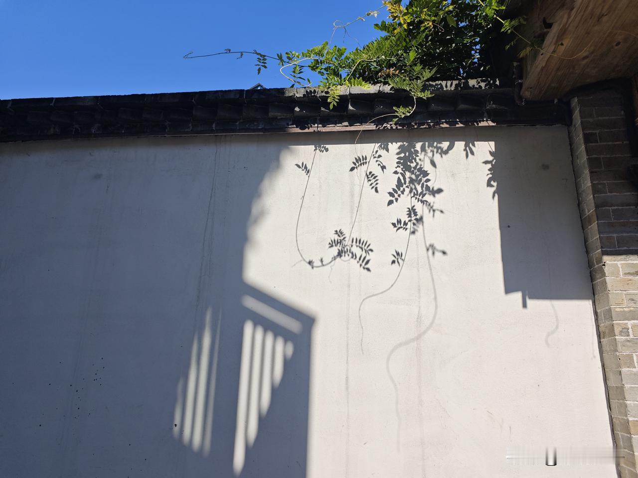 建瓯北辛街旁有条大甲巷，旧名大葛巷以姓氏命名的古巷之一。
早年这里大户云集，一座