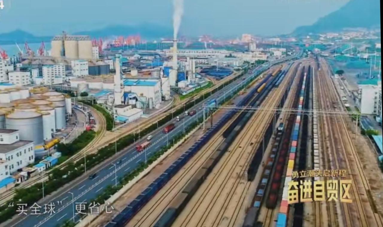 勇立潮头启新程，港口自贸片区正以开放之姿拥抱世界。这里，红色岸桥林立的码头吞吐全