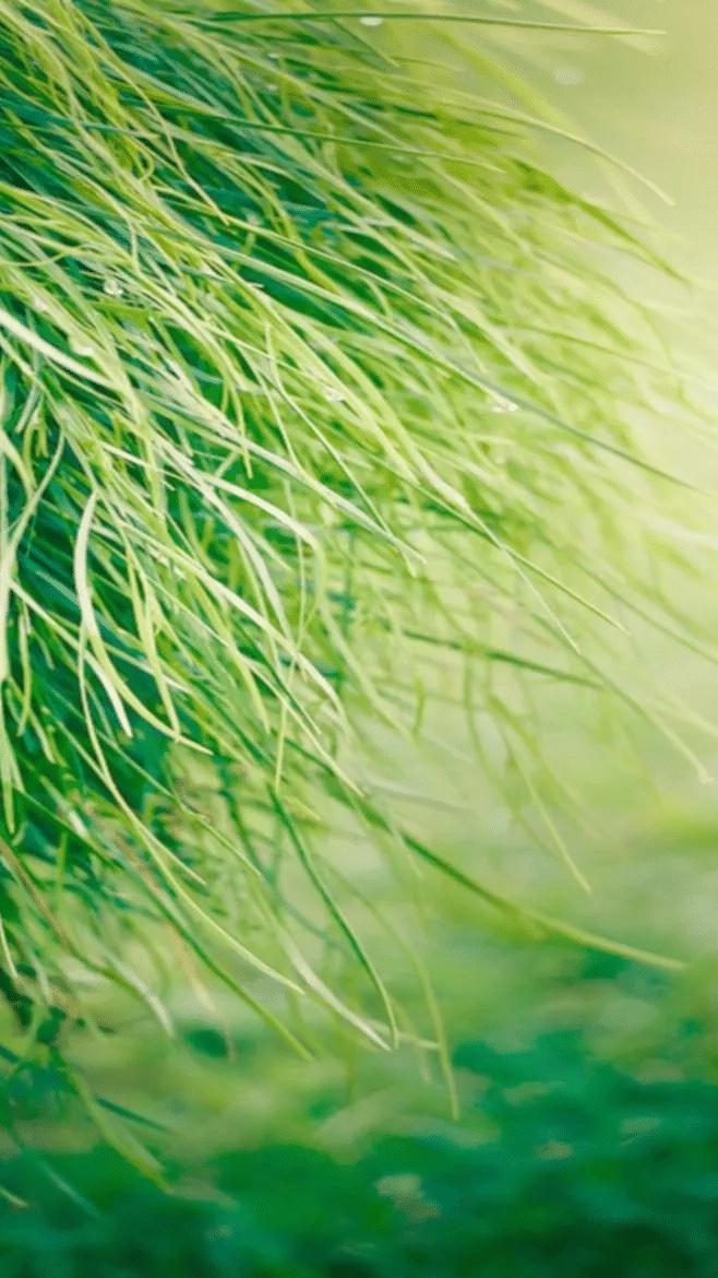 别让内耗偷走你的好日子

陈果的一席话，堪称戳中当代人焦虑痛点的清醒剂。

老话