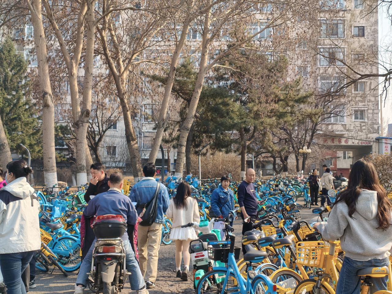 这个景区的共享单车竟然堆积如山！太火爆了，比丹东大孤山还火爆，看看单车数量，在看