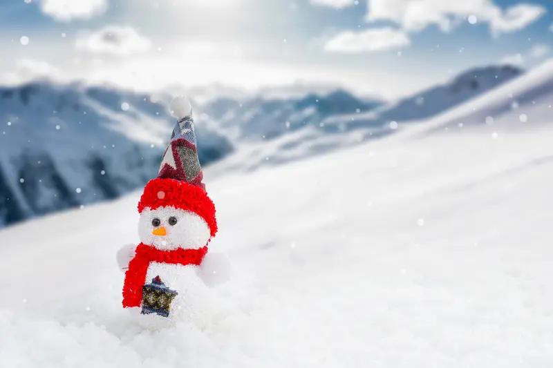 七律·立冬有感
 
朔风渐紧叶辞枝，岁序轮回立冬时。
寒云漫卷天容淡，霜气初凝地