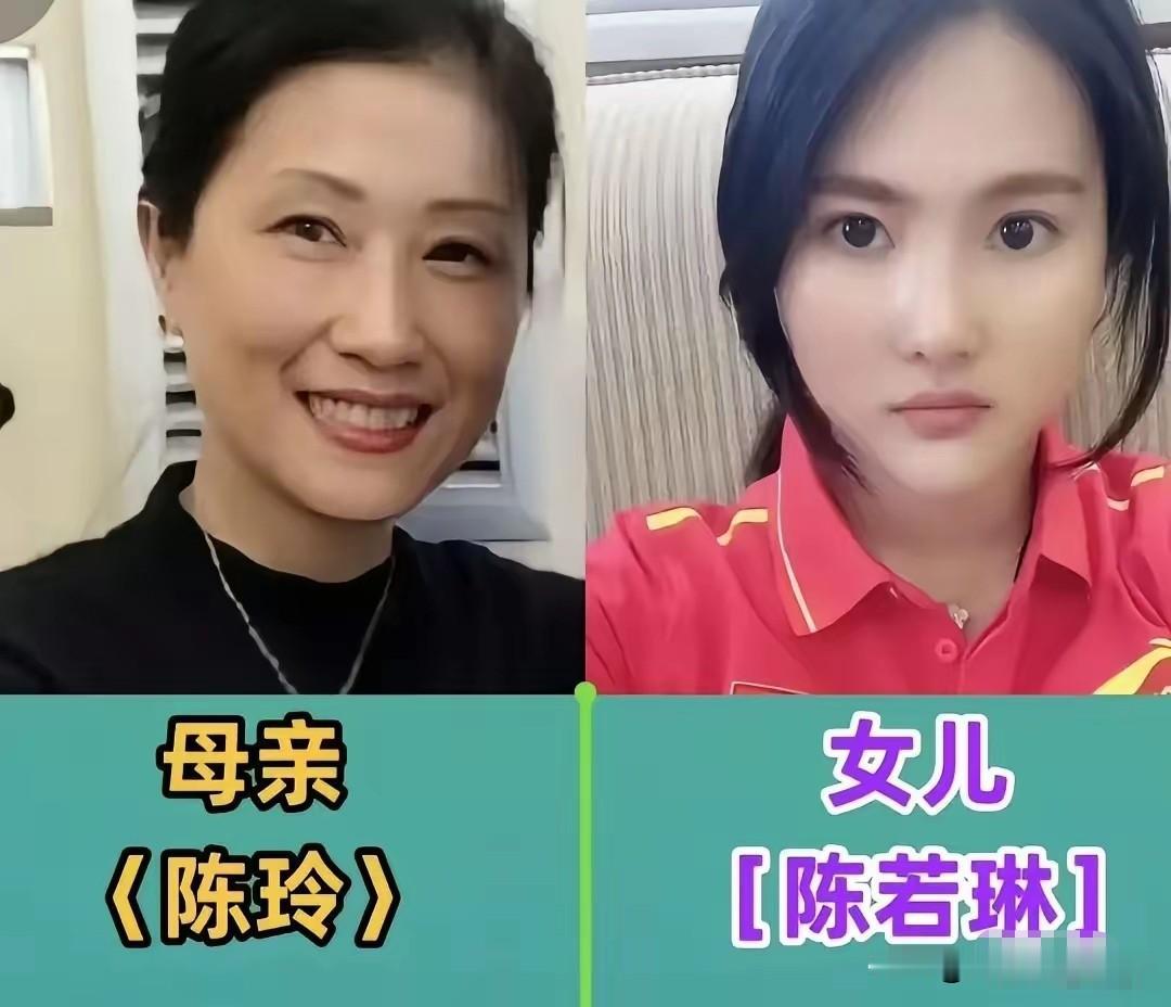 一张张乒乓球冠军与母亲的合照，看着格外暖心。孙颖莎、陈梦、樊振东、王曼昱，还有张