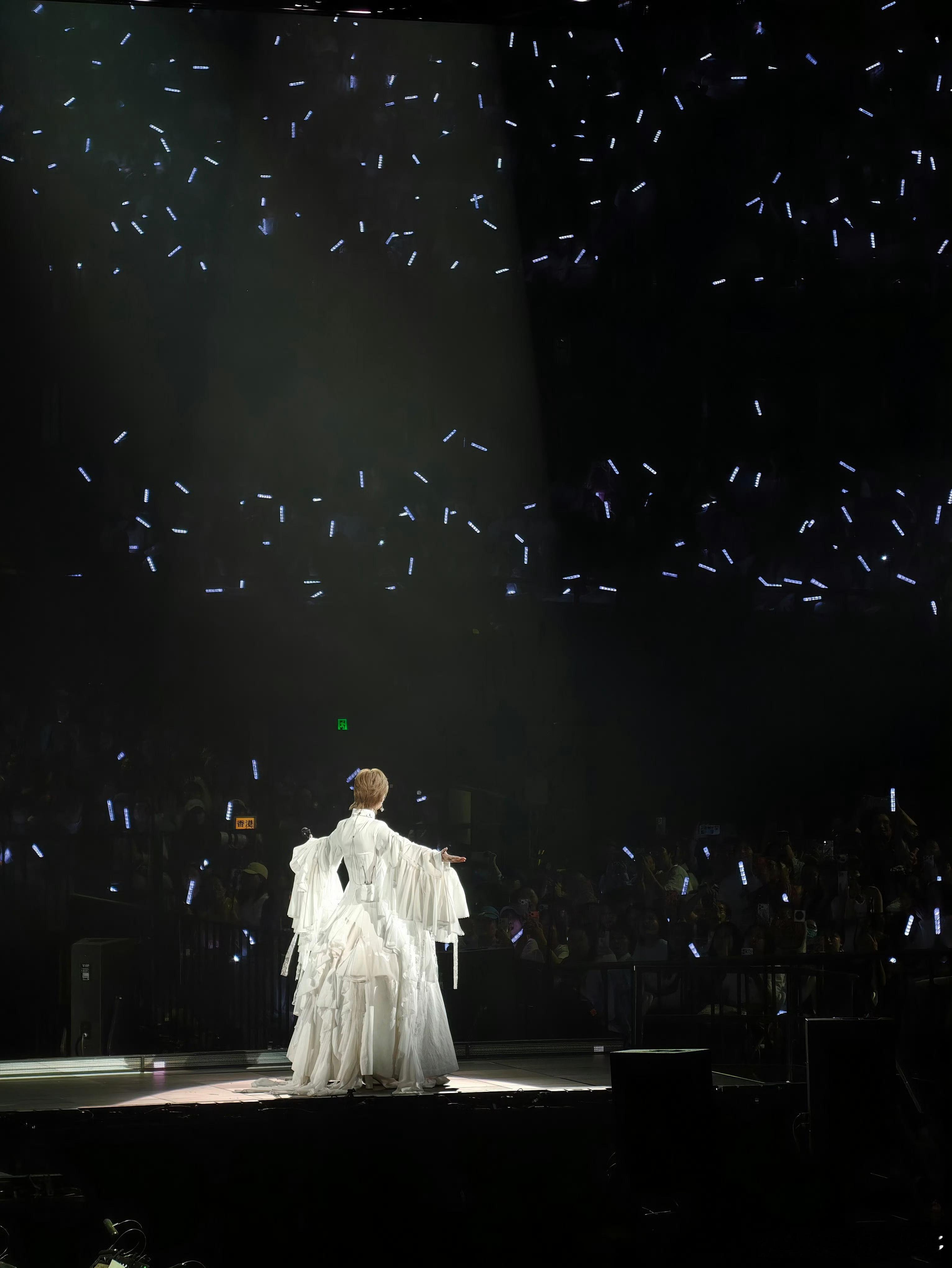 李宇春中古女爵李宇春一条裙子用了两千块布 演唱会造型再度惊艳全网🔥，两千块布打