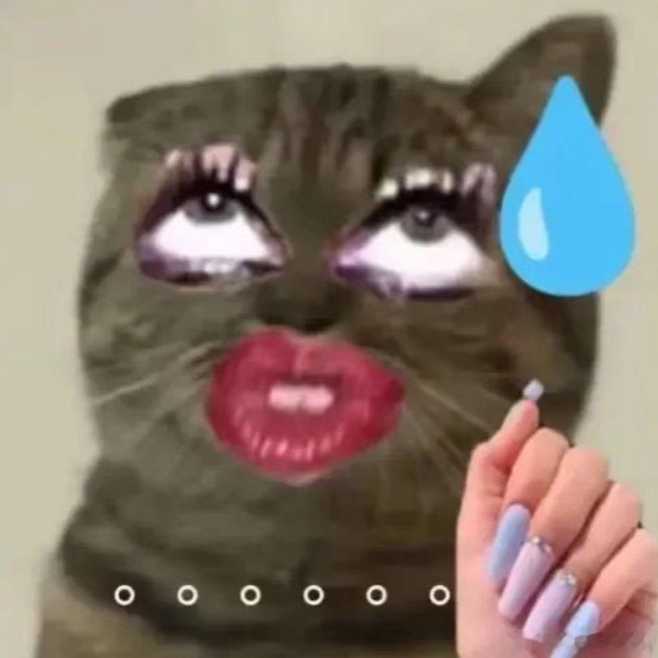 怎么会有人这么欠骂呢 ​​​