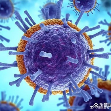 人类对病毒的认知，远没有你以为的那么清晰。我们熟悉的是那几个“明星病毒”，但那些