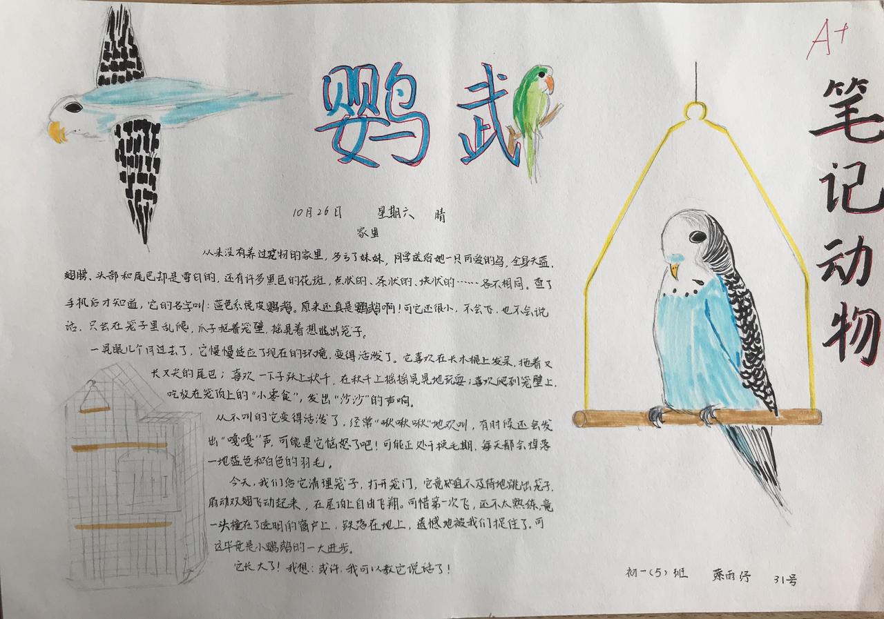 情节是人物的历史。
诗意的基础修炼：追求诗意的语言表达
诗意的中级修炼：发现和赞