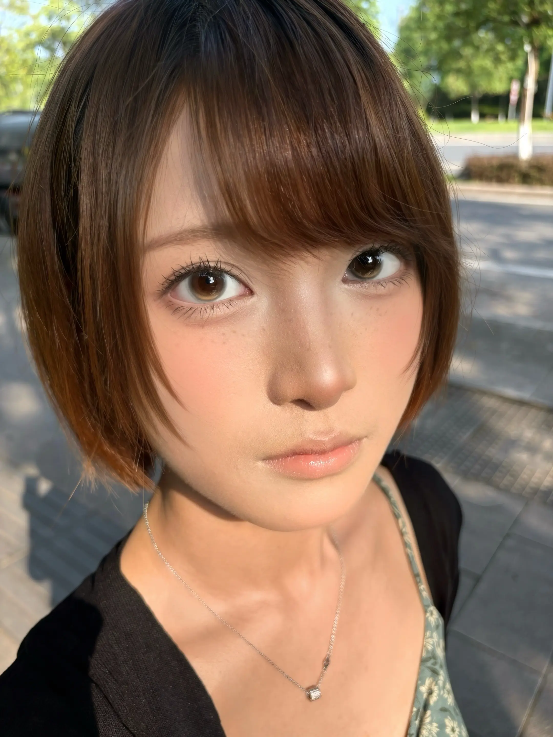 远方在你琥珀色的眼睛里