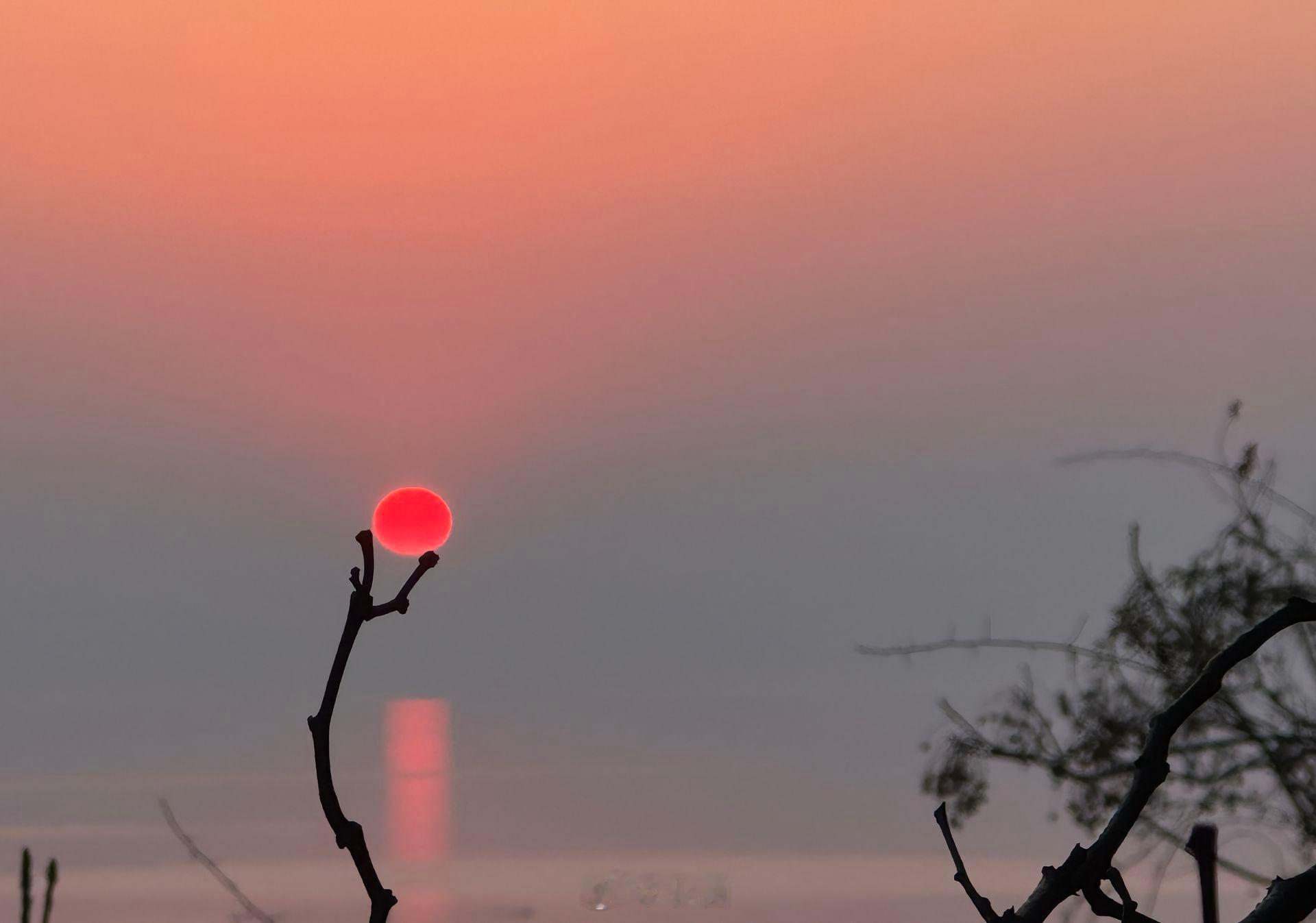 小菌熄灯号 落日代表今年结束了，或许明天是一个新的开始，再见了2025 