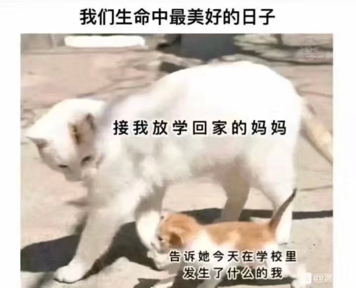 我代入 放学回家的皓就这样一路把上学的所有事都讲给妈妈听 