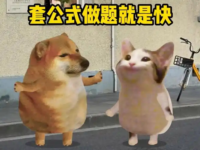 男子公园溜兔遭4只无绳恶犬咬死所有宠物众生平等，但有一些宠物比其他宠物更平等