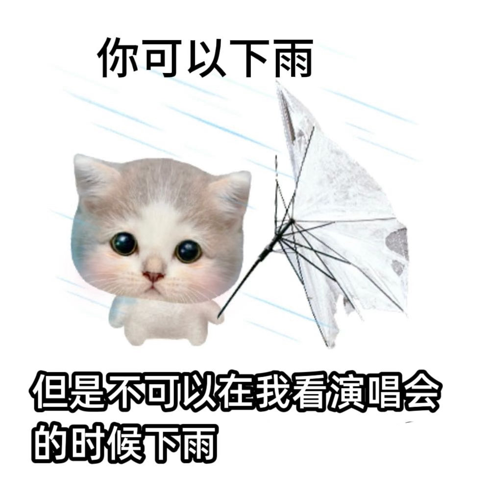 被演唱会天气背刺了演唱会下雨本身还好，最难受的是全场几乎人人都有雨衣，只有我孤零