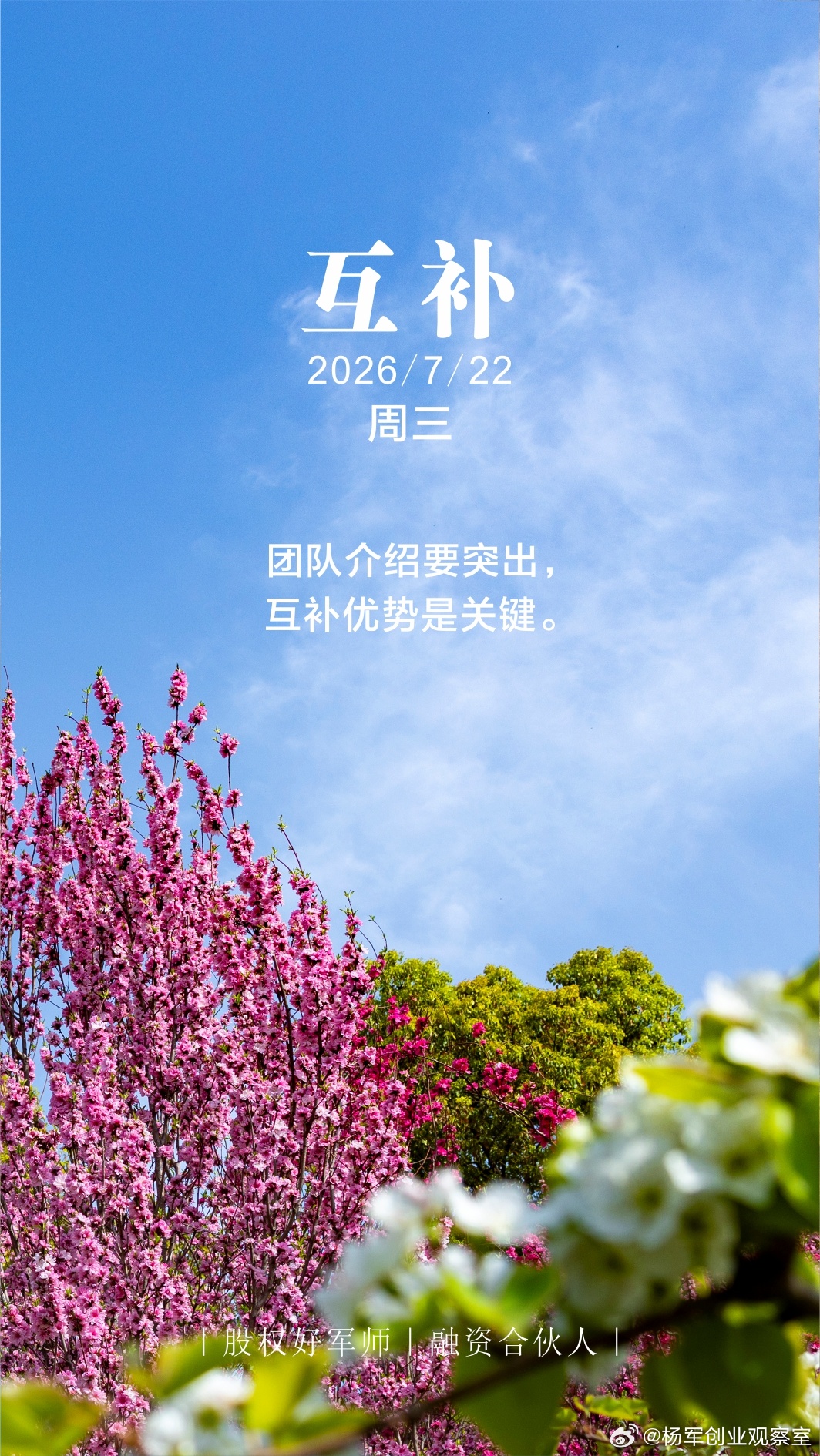 分享图片 