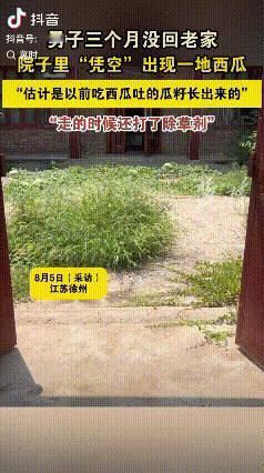 “幸福来的太突然！”江苏徐州，男子外出三个月，回家推开门直接傻眼了！院子里竟长满