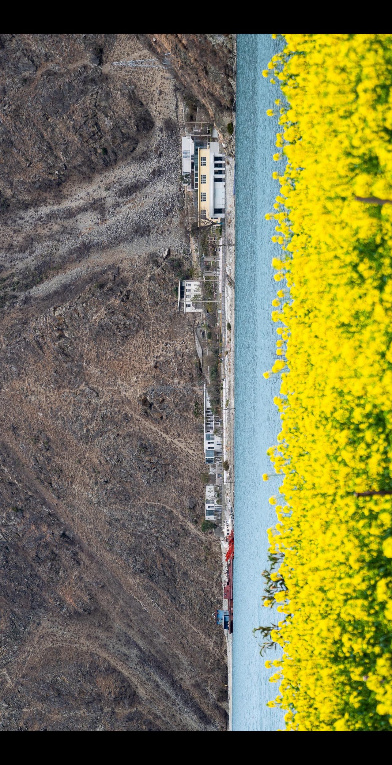 花儿点缀苍茫之地，有种泣血的美感…带你看世界 不一样的春天 不一样的风景 不一样
