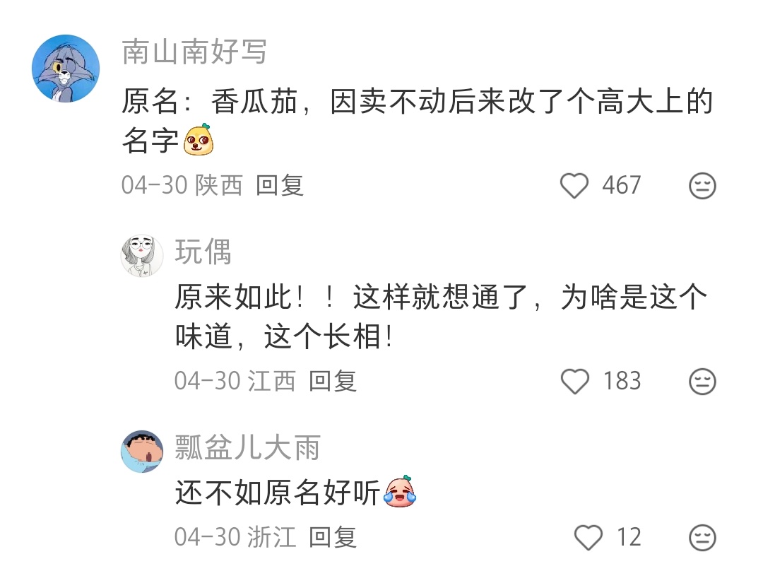 这种人参果竟然是长在地上的啊，原名竟然叫香瓜茄