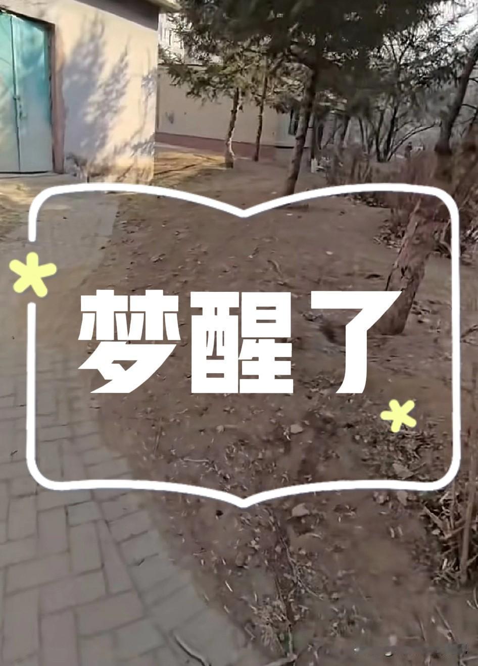 生活压力太大了！如果《桃花源记》不是骗人的，该有多好呀！
生活在物质高度发达的社