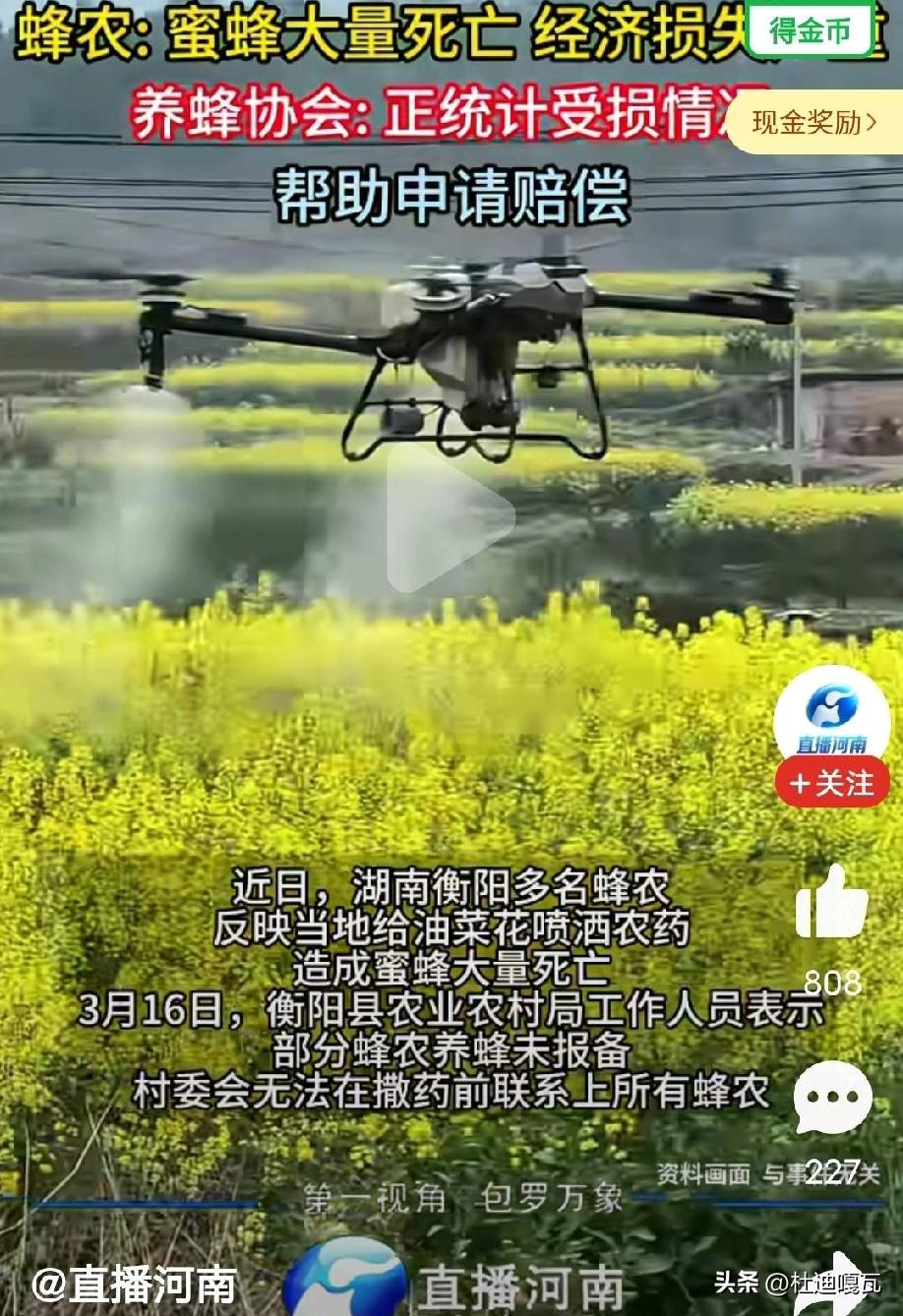 油菜花打药致大量蜜蜂死亡后续，专家出来辟谣，根本没有想象的那么严重。
近日，江西