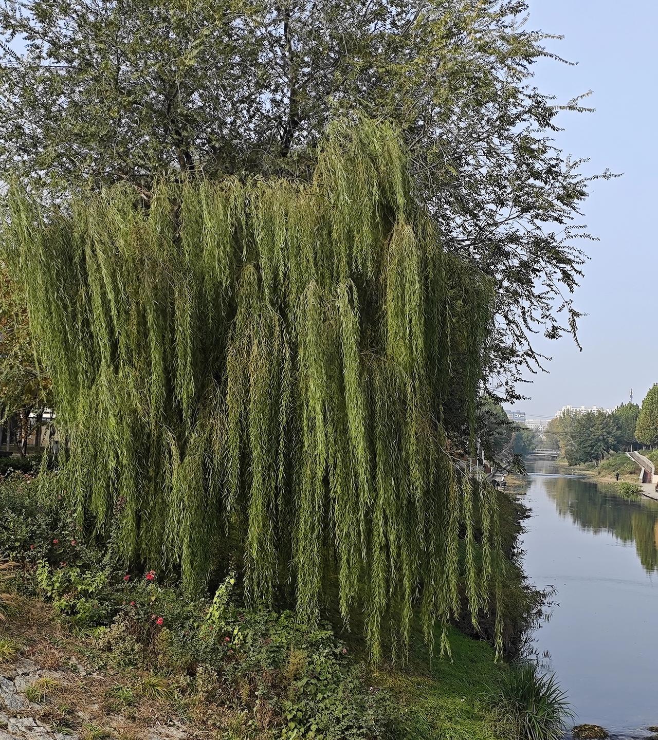 冬日生活打卡季