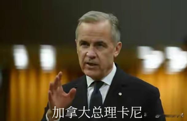 一语中的！日前，面对特朗普威胁:若加中达成贸易协定，将对加拿大所有进口商品加征1