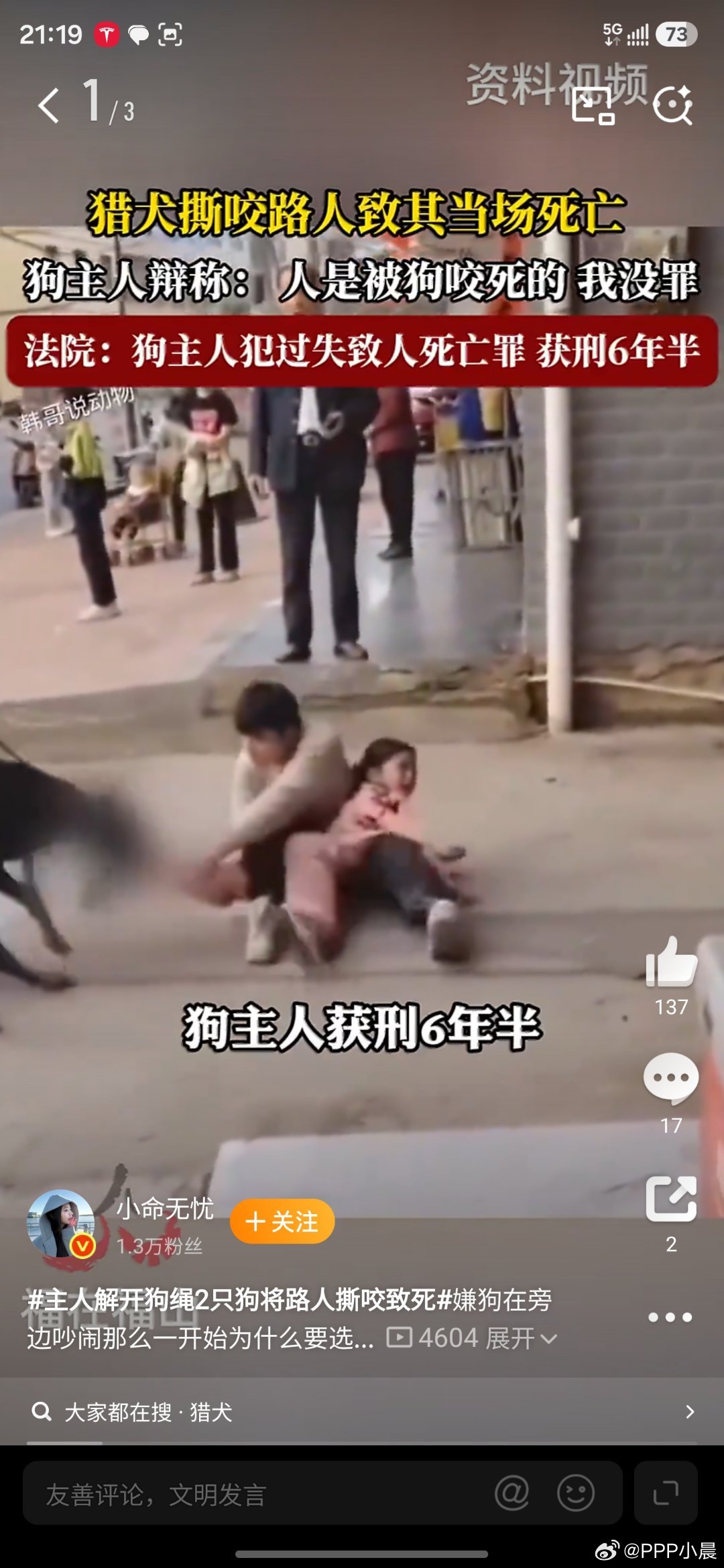 主人解开狗绳2只狗将路人撕咬致死判缓刑是因为有钱赔、能谅解。但公共安全被咬碎了，