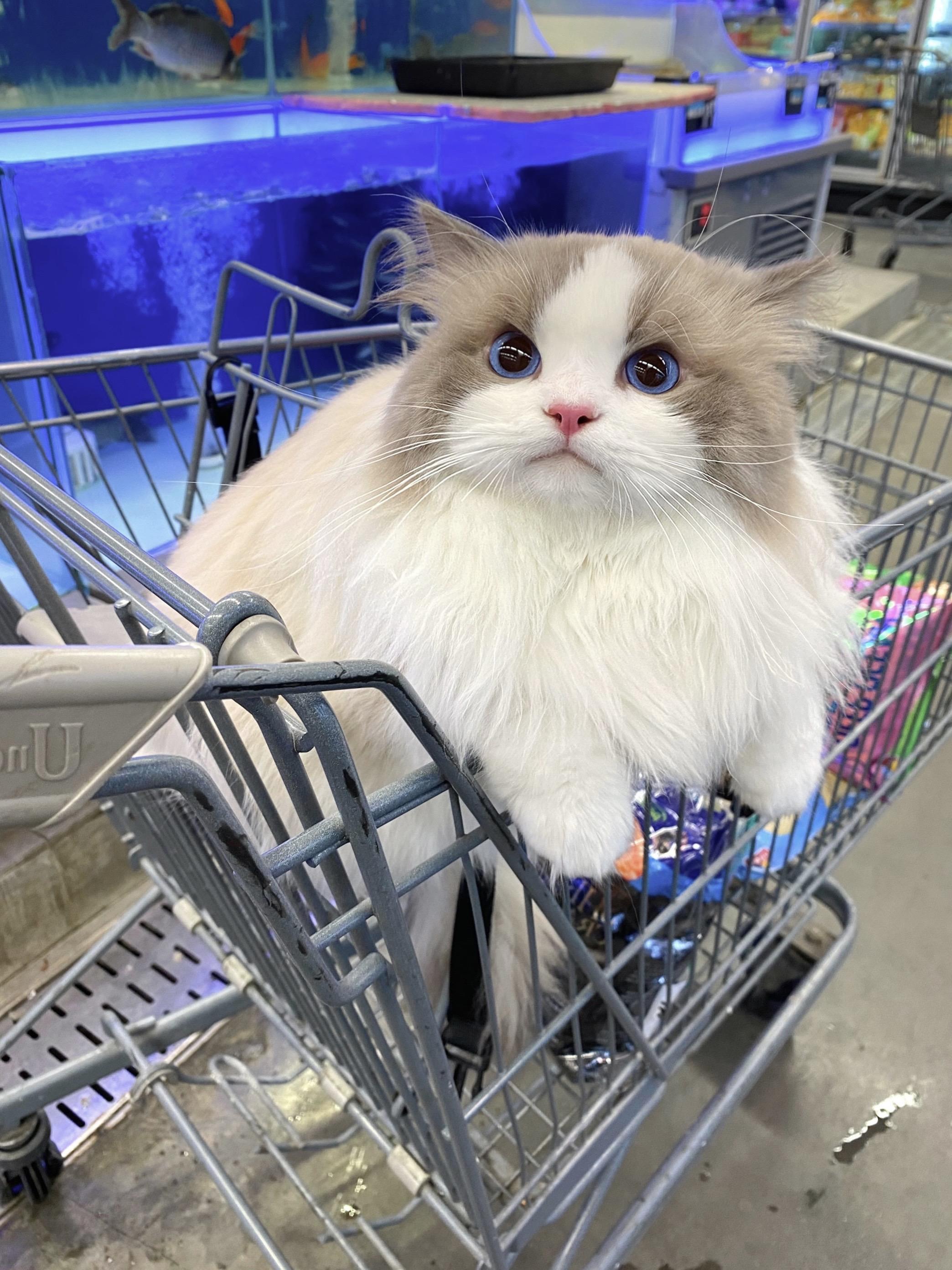 转眼间就长大…